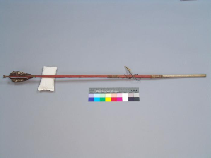 Harpoon arrow